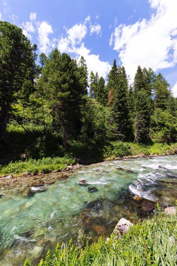 B&B River Inn St. Moritz Kültér fotó